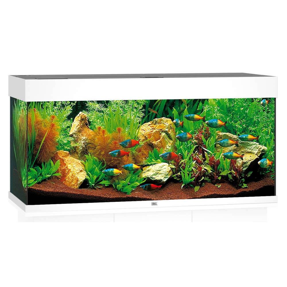 Aquarium LED RIO 180 L JUWEL - Image 2