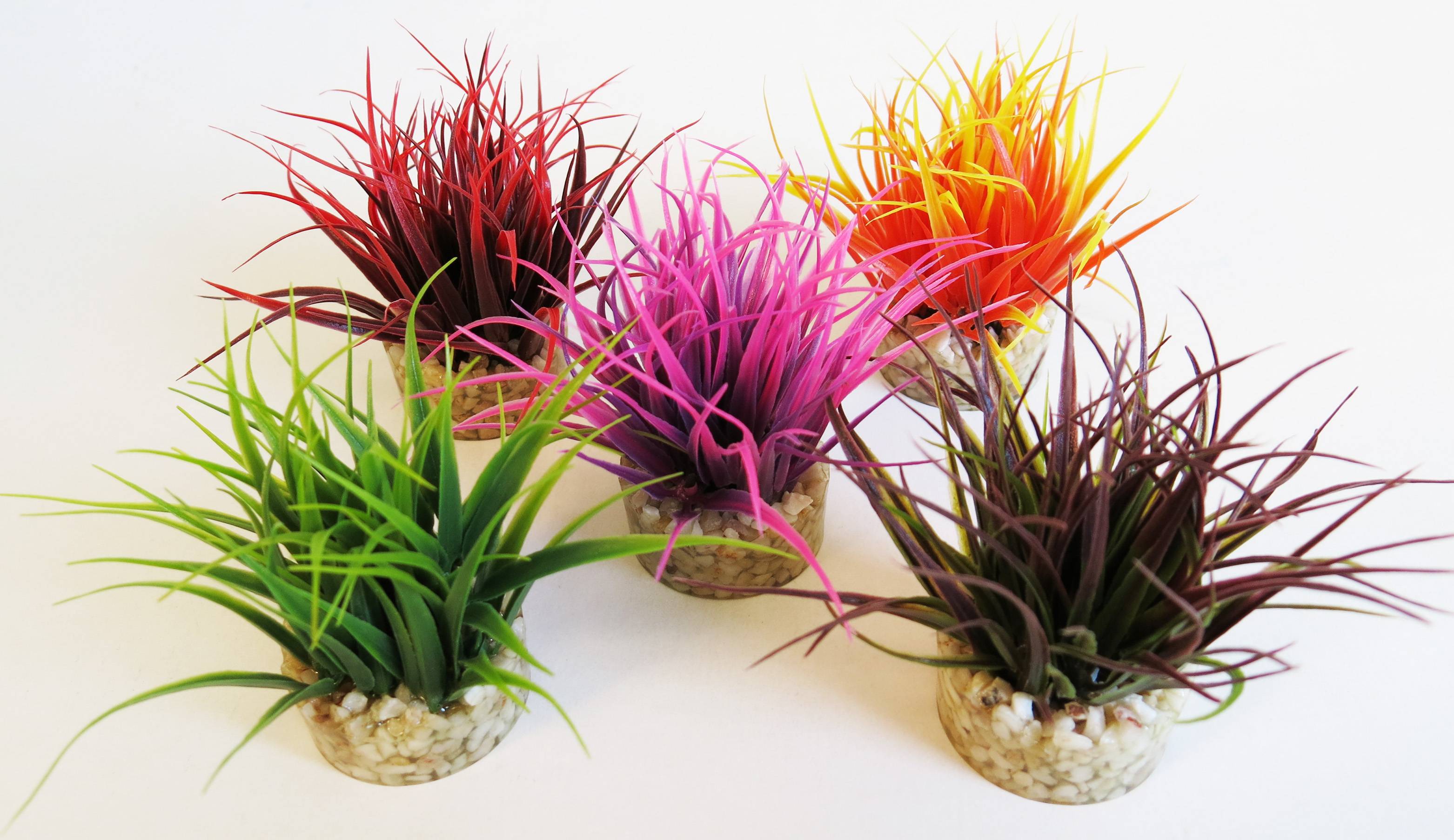 Mousse Nano Aquarium – TYROL