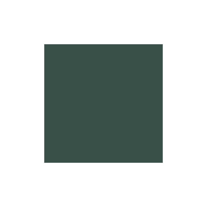 Peinture multi supports vert mousse satin 0,5 L - OXI