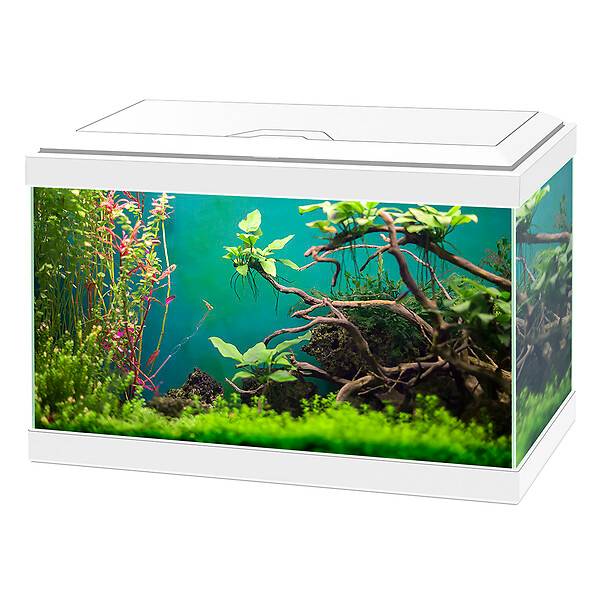 Aqua 20 aquarium classique blanc 40x20x24,8 cm - CIANO - Image 3