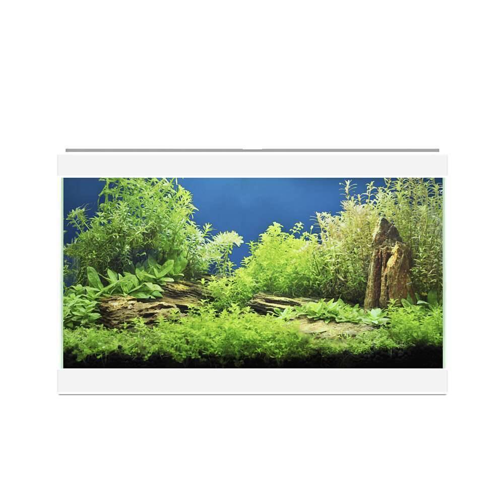Aquarium Aqua 20 Light Blanc L.40 x l.20 x H.26 cm - CIANO - Image 1