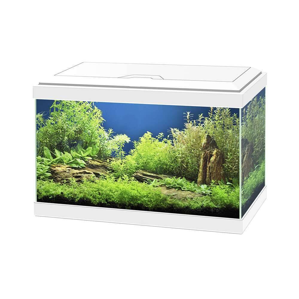 Aquarium Aqua 20 Light Blanc L.40 x l.20 x H.26 cm - CIANO - Image 2