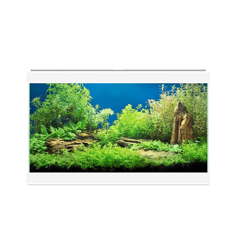 Aquarium Aqua 20 Light Blanc L.40 x l.20 x H.26 cm - CIANO - Image 6