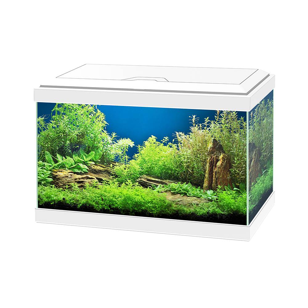 Aquarium Aqua 20 Light Blanc L.40 x l.20 x H.26 cm - CIANO - Image 4