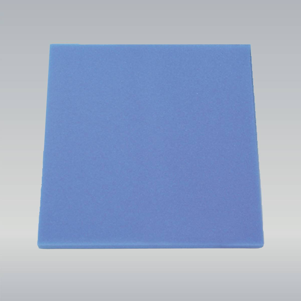 Mousse Filtrante Bleue - JBL - Image 2