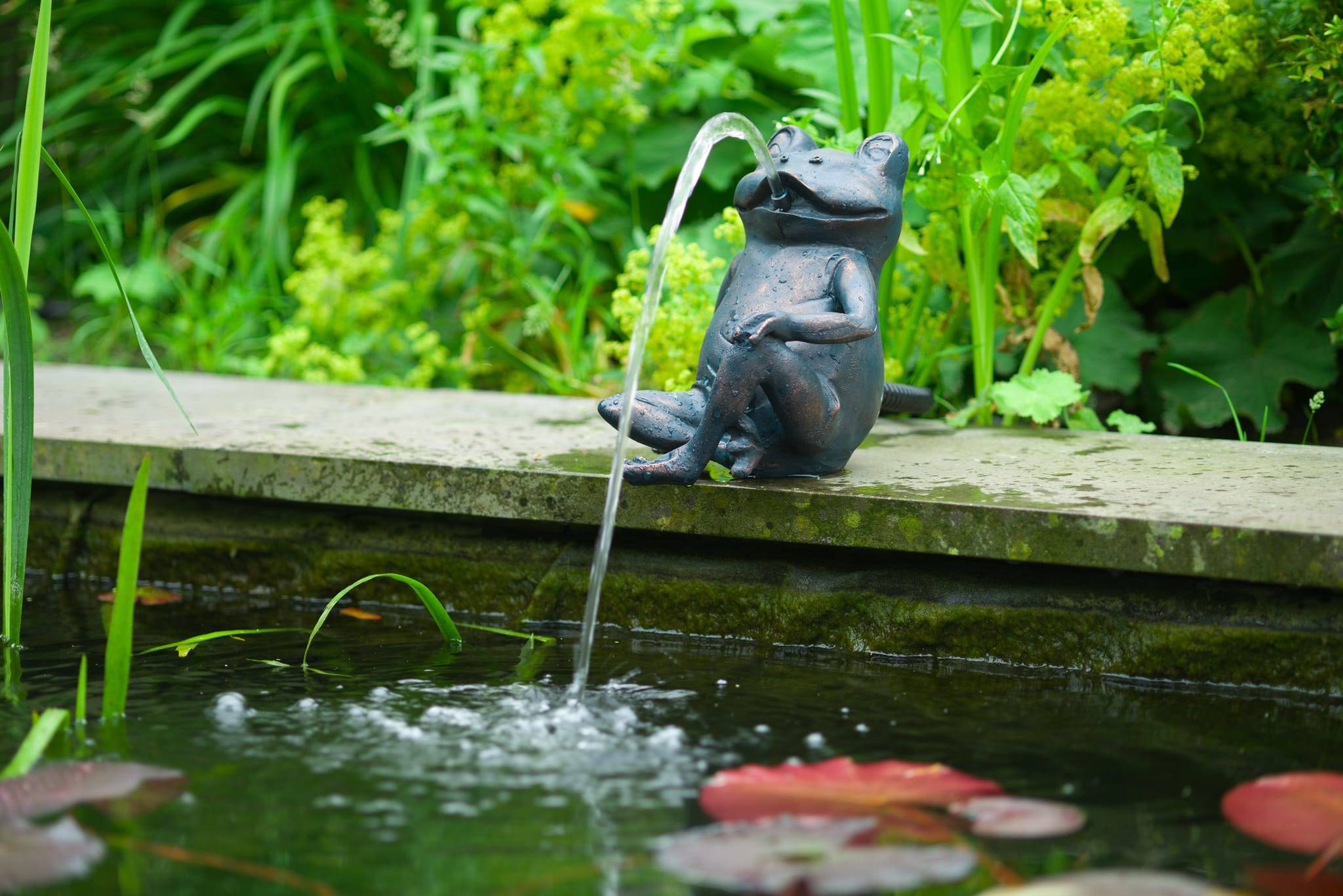 Ubbink - Fontaine De Jardin Grenouille - UBBINK - Image 3