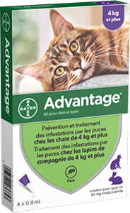 Antiparasitaire Externe Chats Lapins - ADVANTAGE - Image 1