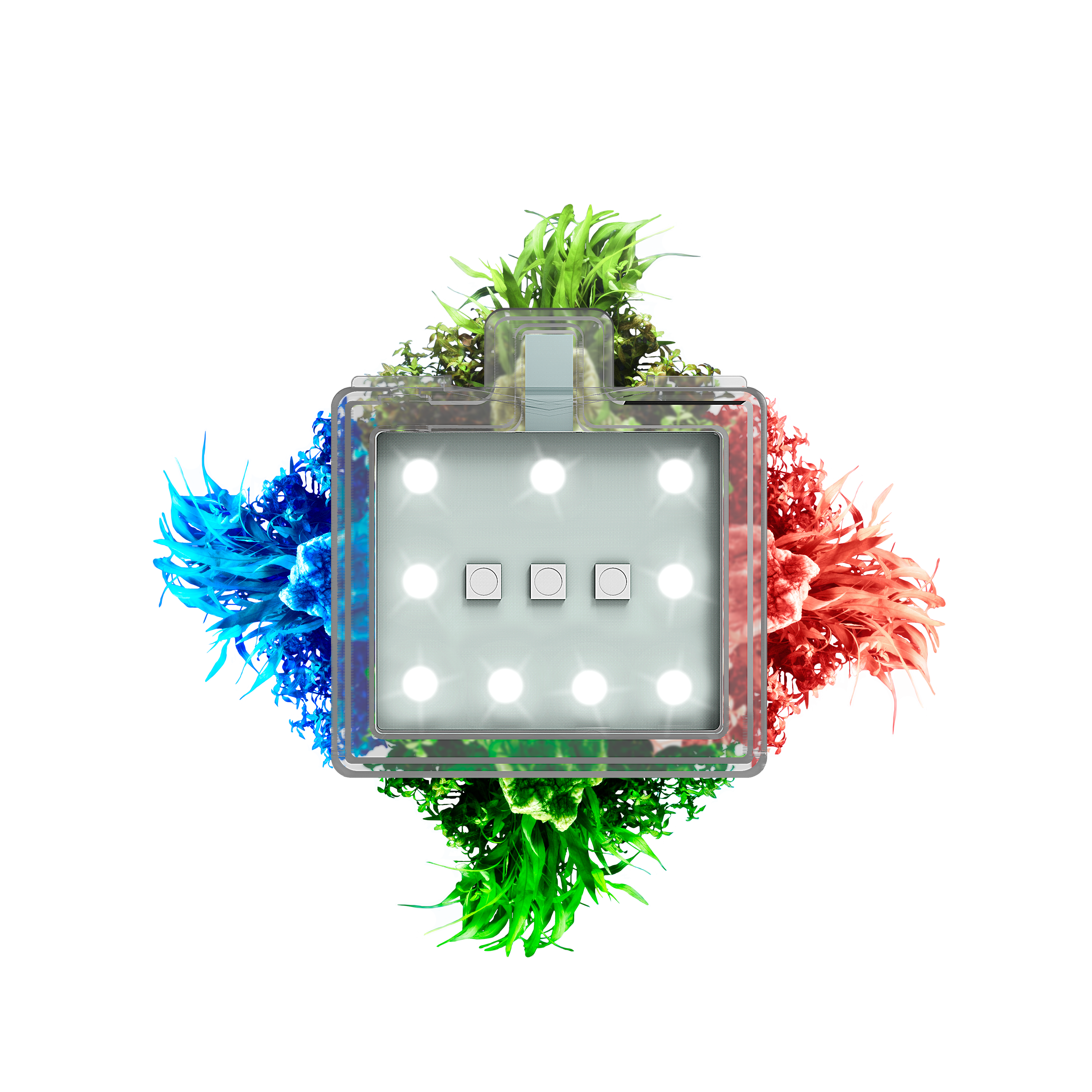 Eclairage LED Aquarium RGB Tactile Betta Nexus CLN 5 – CIANO - Image 3
