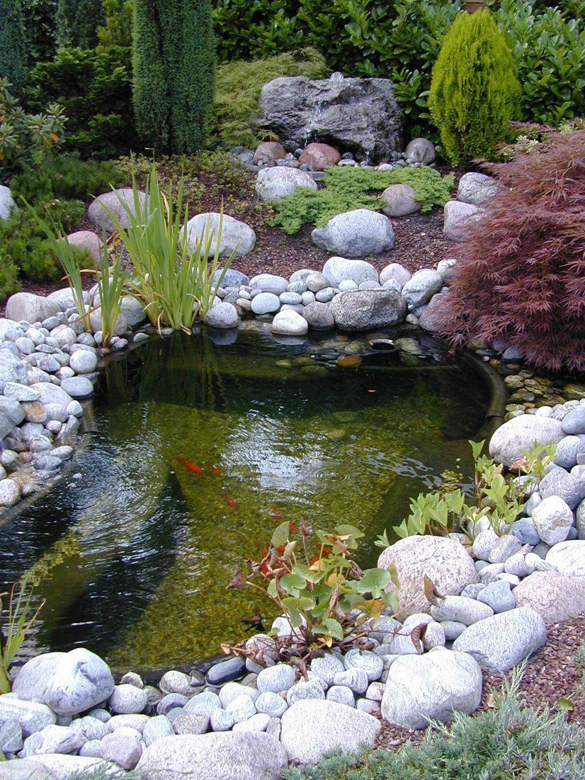 Ubbink - Bassin de jardin préformé Calmus SIII 350L - Ubbink - Image 4