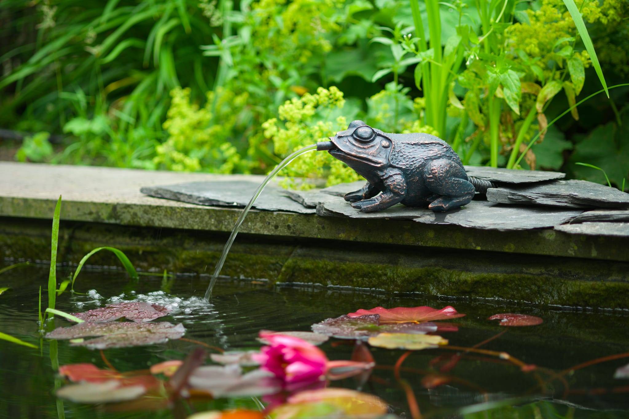 Gargouille Grenouille UBBINK - Image 3