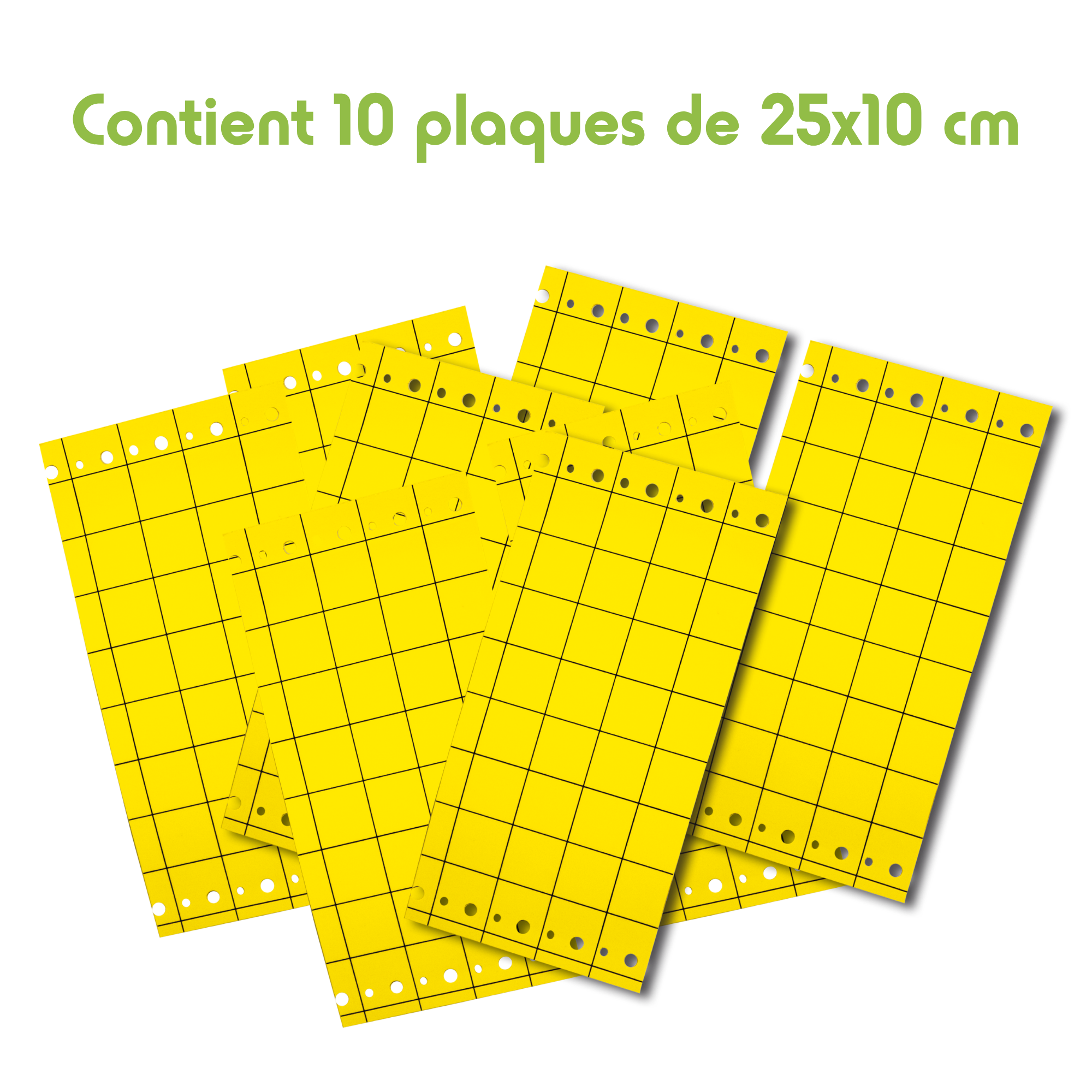 Biotop - Biotop - Piège collant jaune contre insectes ravageurs - Image 8