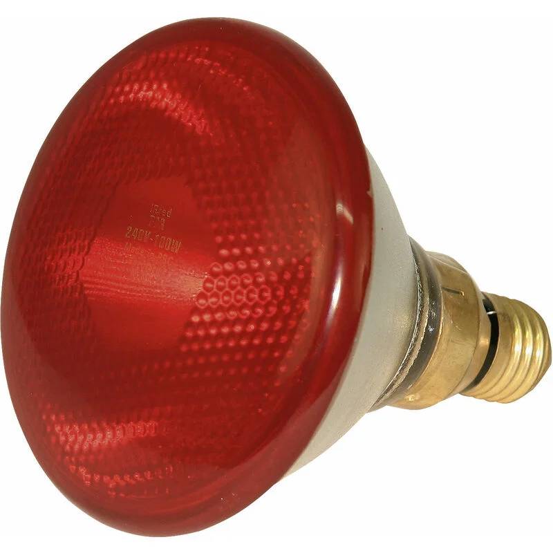 Lampe de jardin 175 W – ECLOZ - Image 2