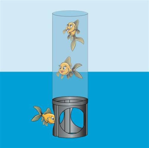 Ubbink - Tour à poisson Acrylique Transparent Ø 20 cm H 120 cm - UBBINK - Image 5