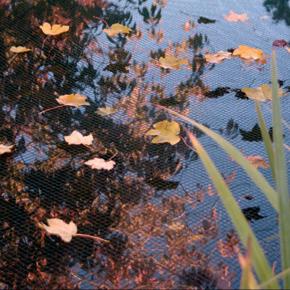 Filet de Protection de Bassin – UBBINK - Image 3