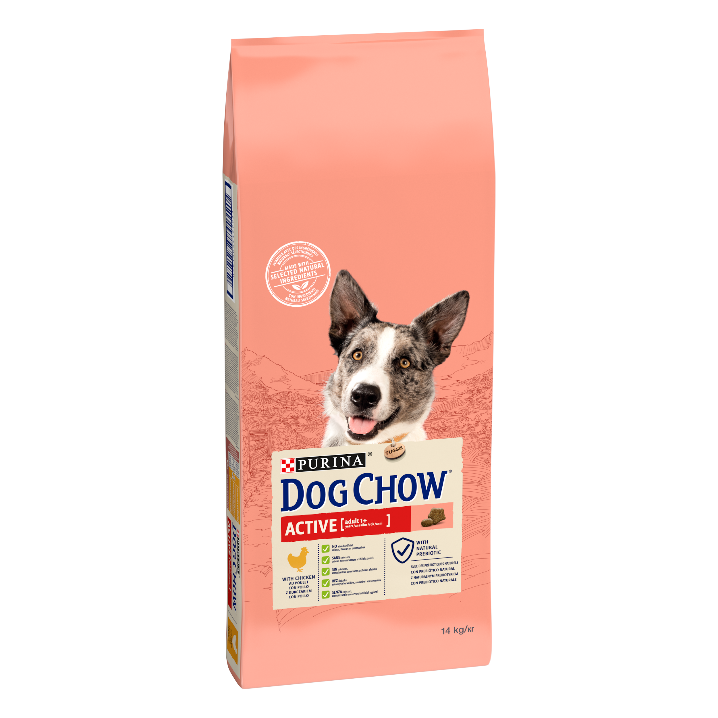 Dog Chow - Croquettes chien Adulte Active Poulet 14 kg – DOG CHOW - Image 5