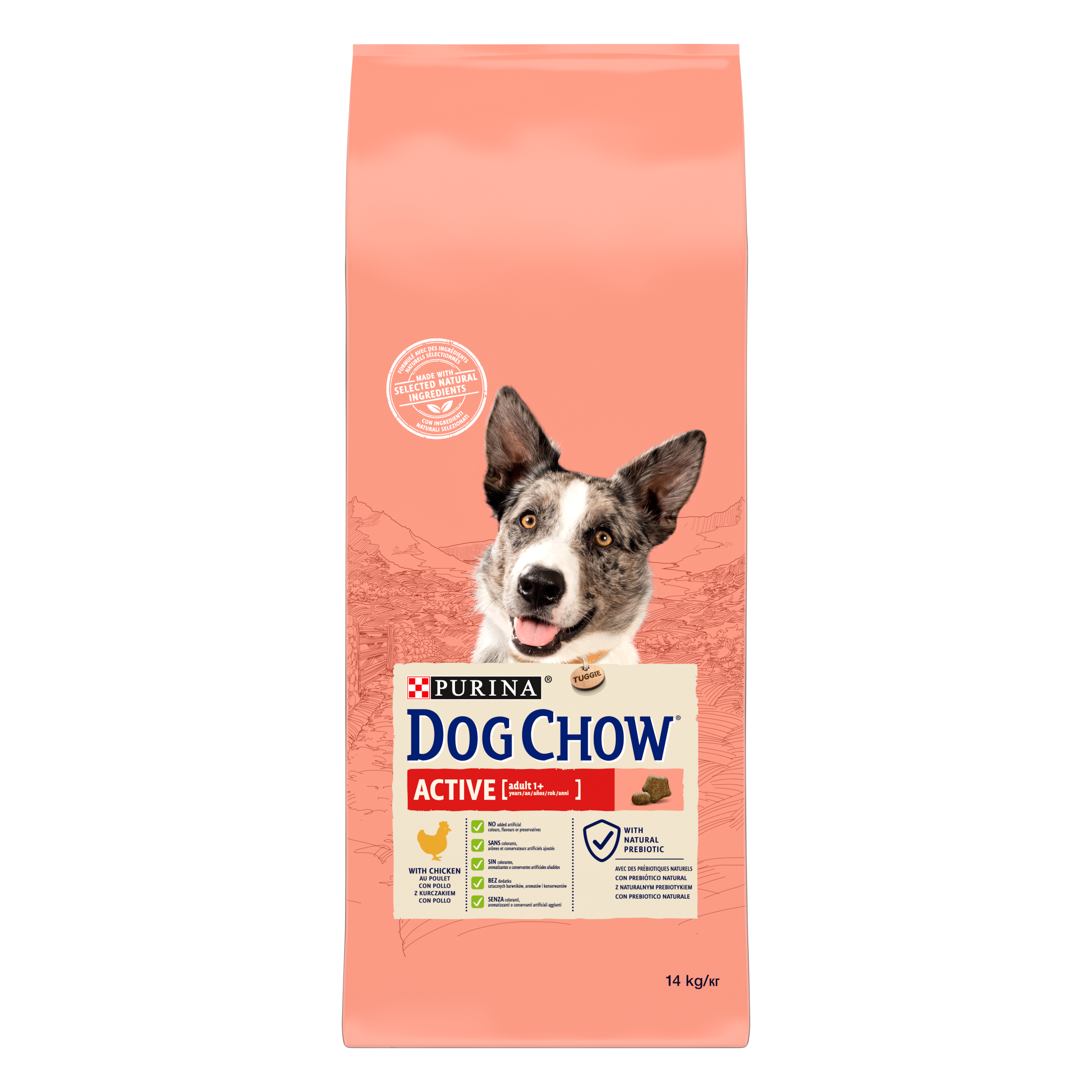 Dog Chow - Croquettes chien Adulte Active Poulet 14 kg – DOG CHOW - Image 4