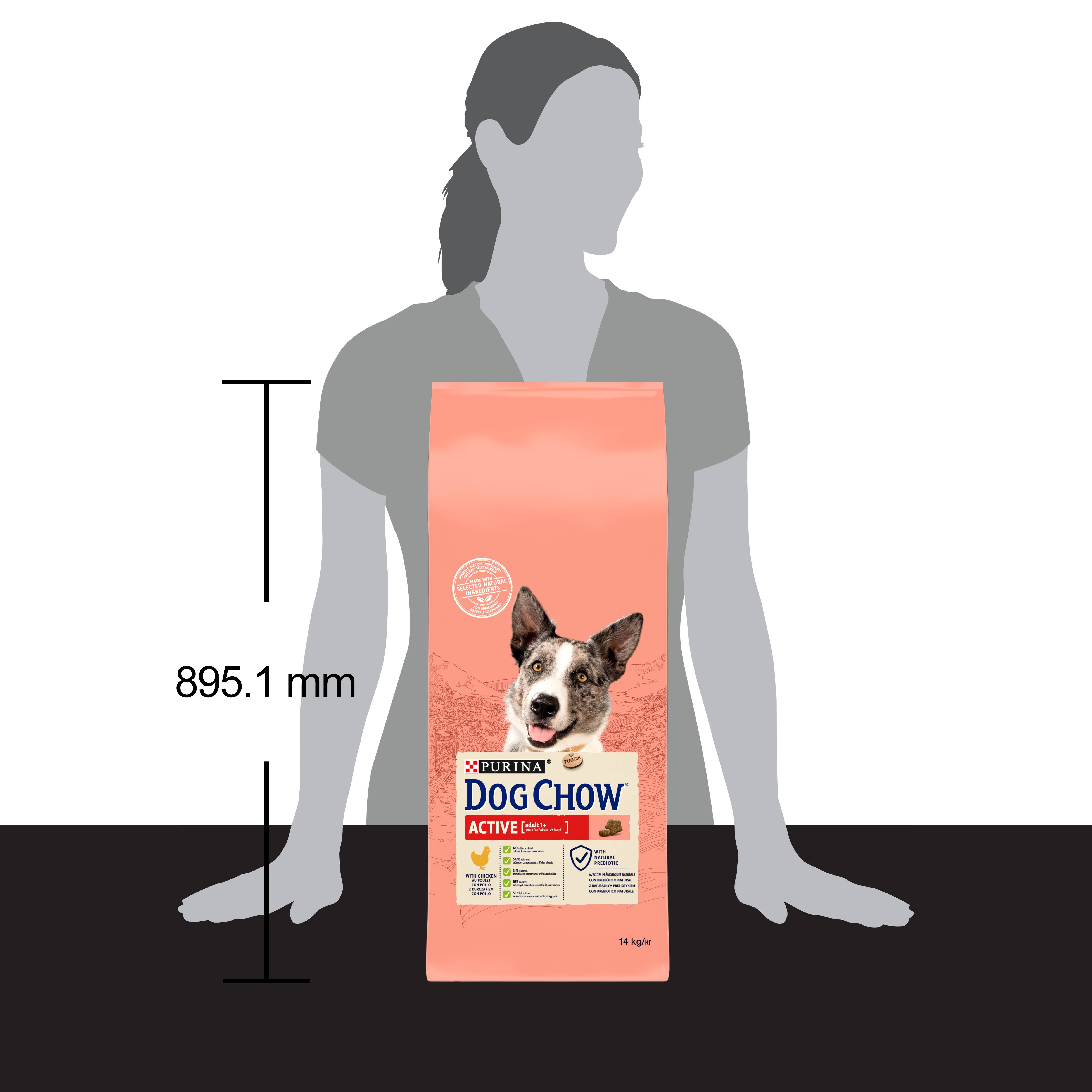 Dog Chow - Croquettes chien Adulte Active Poulet 14 kg – DOG CHOW - Image 2