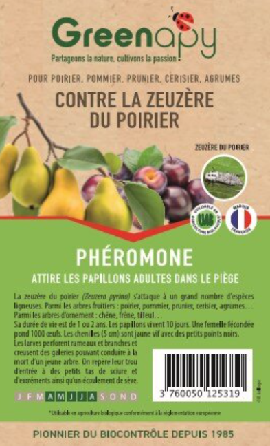 Greenapy - Phéromone Zeuzère du poirier Zeuzera pyrina boîte de 2 capsules – Greenapy
