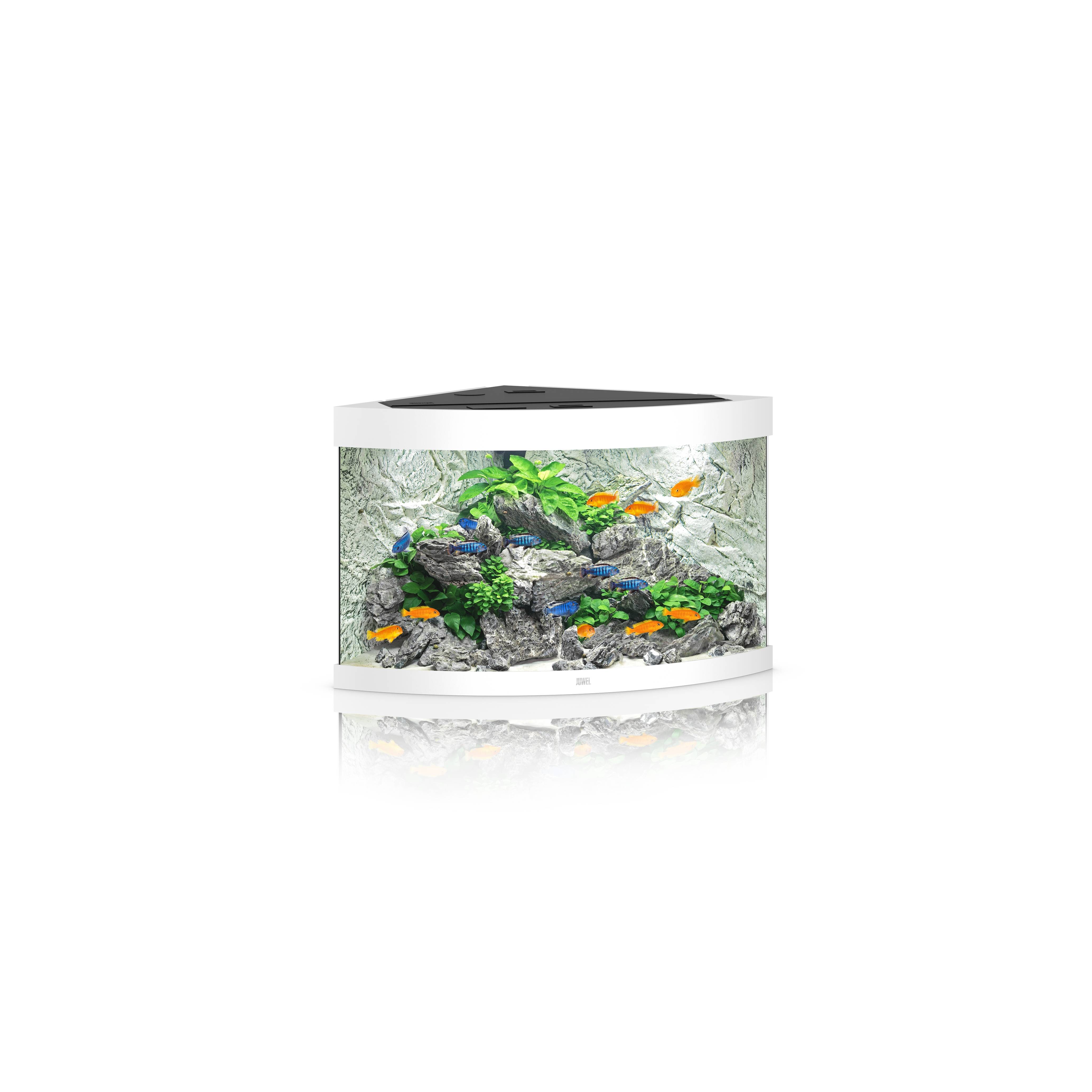 Aquarium LED blanc L.98,5 x l.70 x H.60 cm 190 litres – JUWEL - Image 1