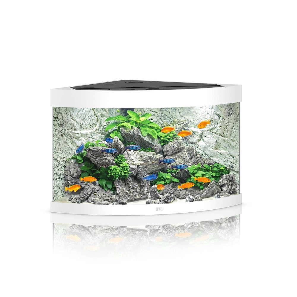 Aquarium LED blanc L.98,5 x l.70 x H.60 cm 190 litres – JUWEL - Image 5