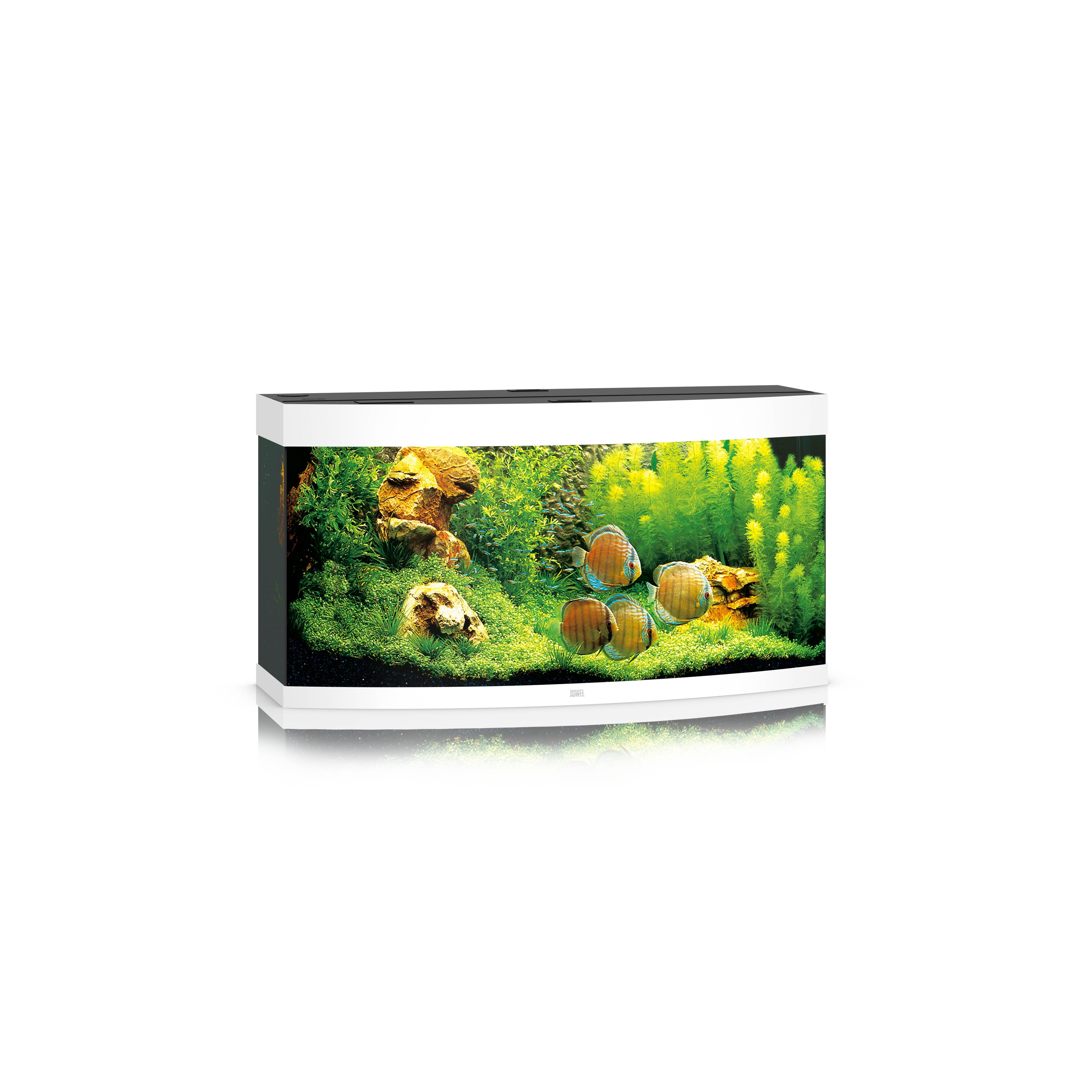 Aquarium LED Vision Blanc L.121 x l.46 x H.64 cm 260 L – JUWEL - Image 1