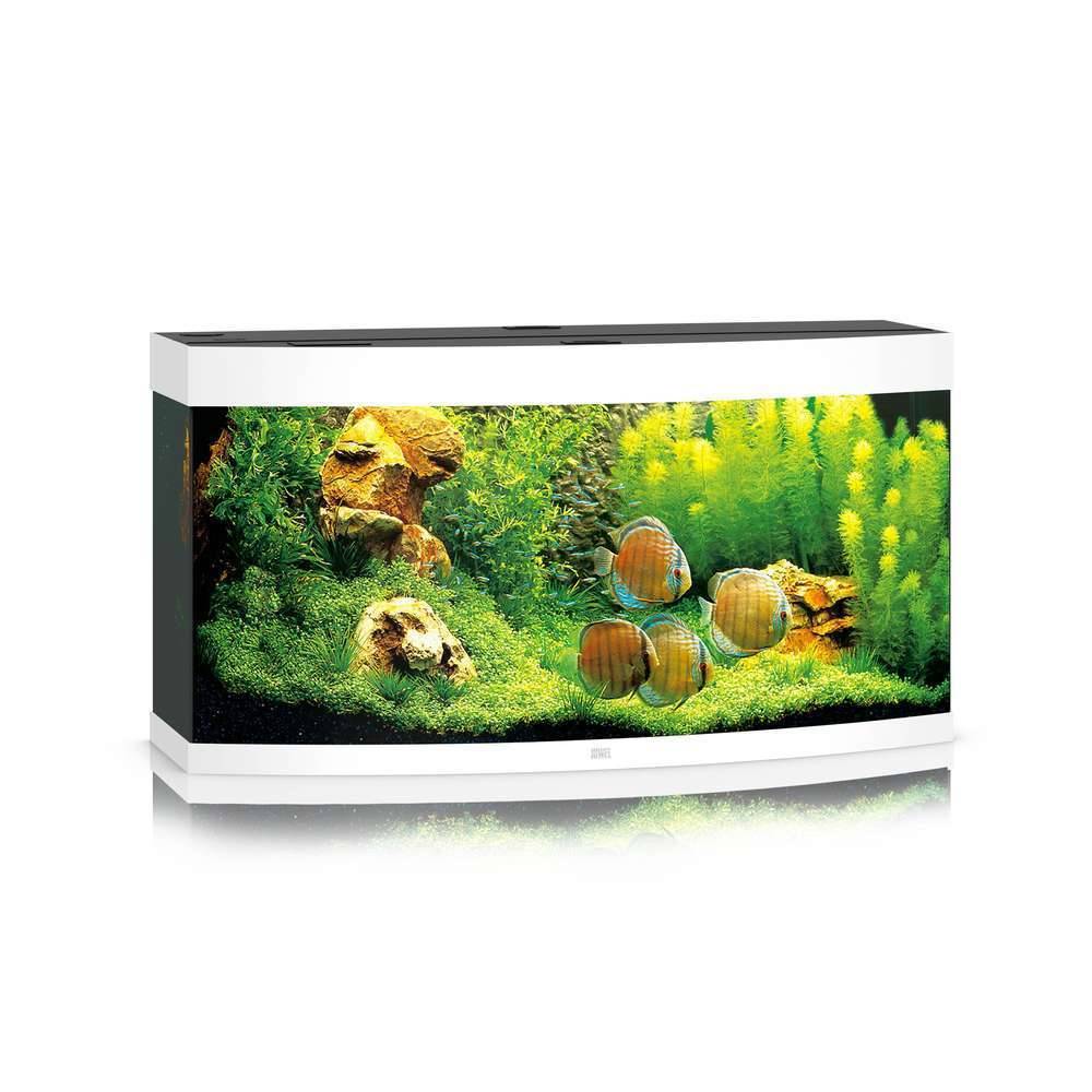 Aquarium LED Vision Blanc L.121 x l.46 x H.64 cm 260 L – JUWEL - Image 5