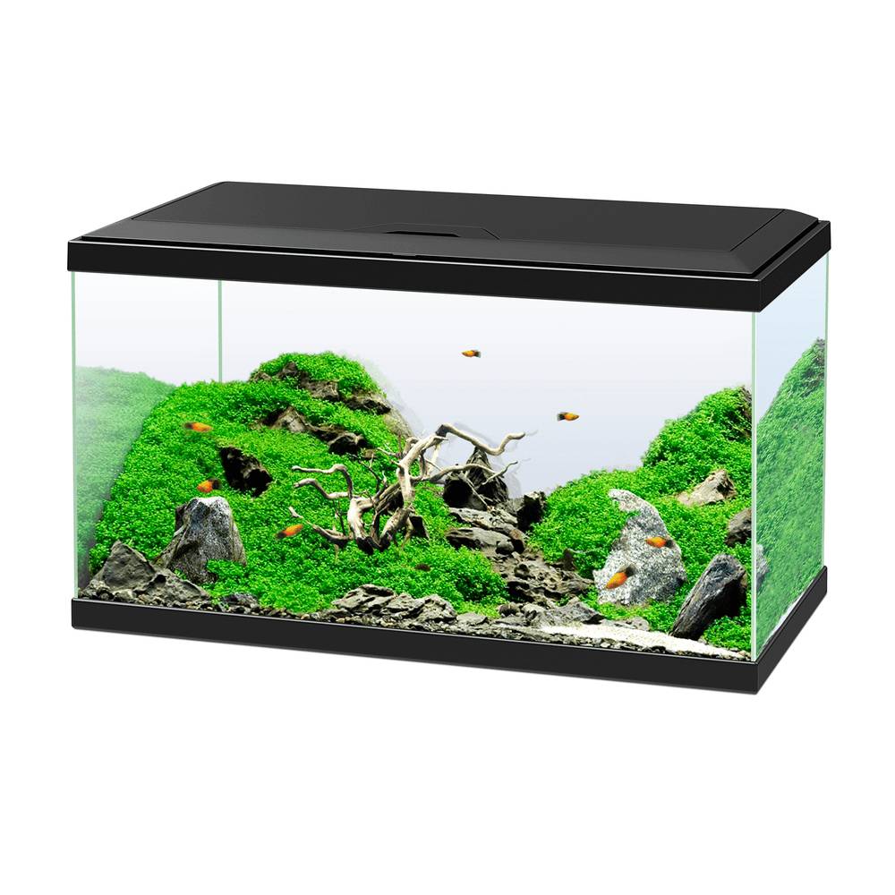 Aquarium équipé LED 60 L noir - CIANO - Image 3