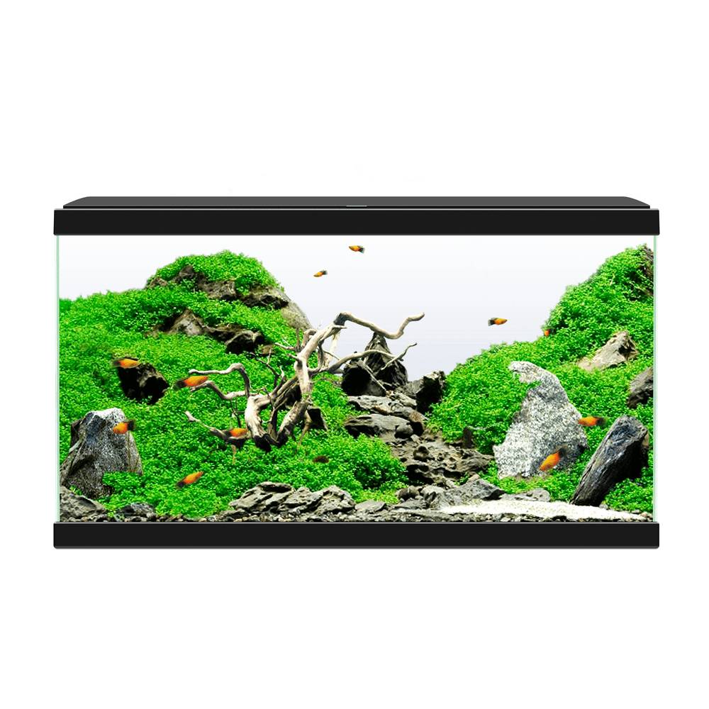 Aquarium équipé LED 60 L noir - CIANO - Image 2