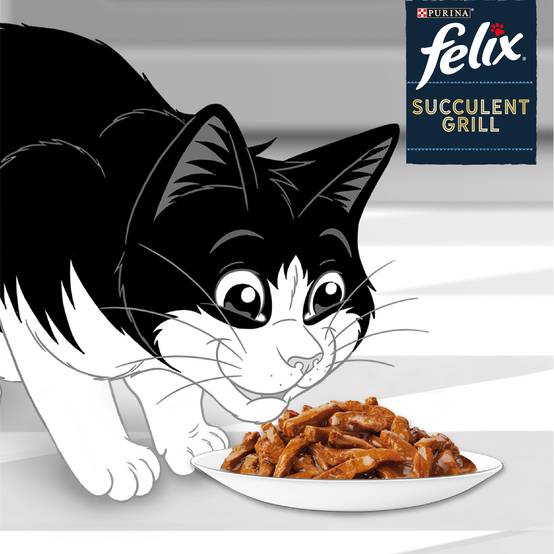 Purina One - Pâtées chat Adulte Succulent Grill Poisson Thon Cabillaud 12x80g – FELIX - Image 3