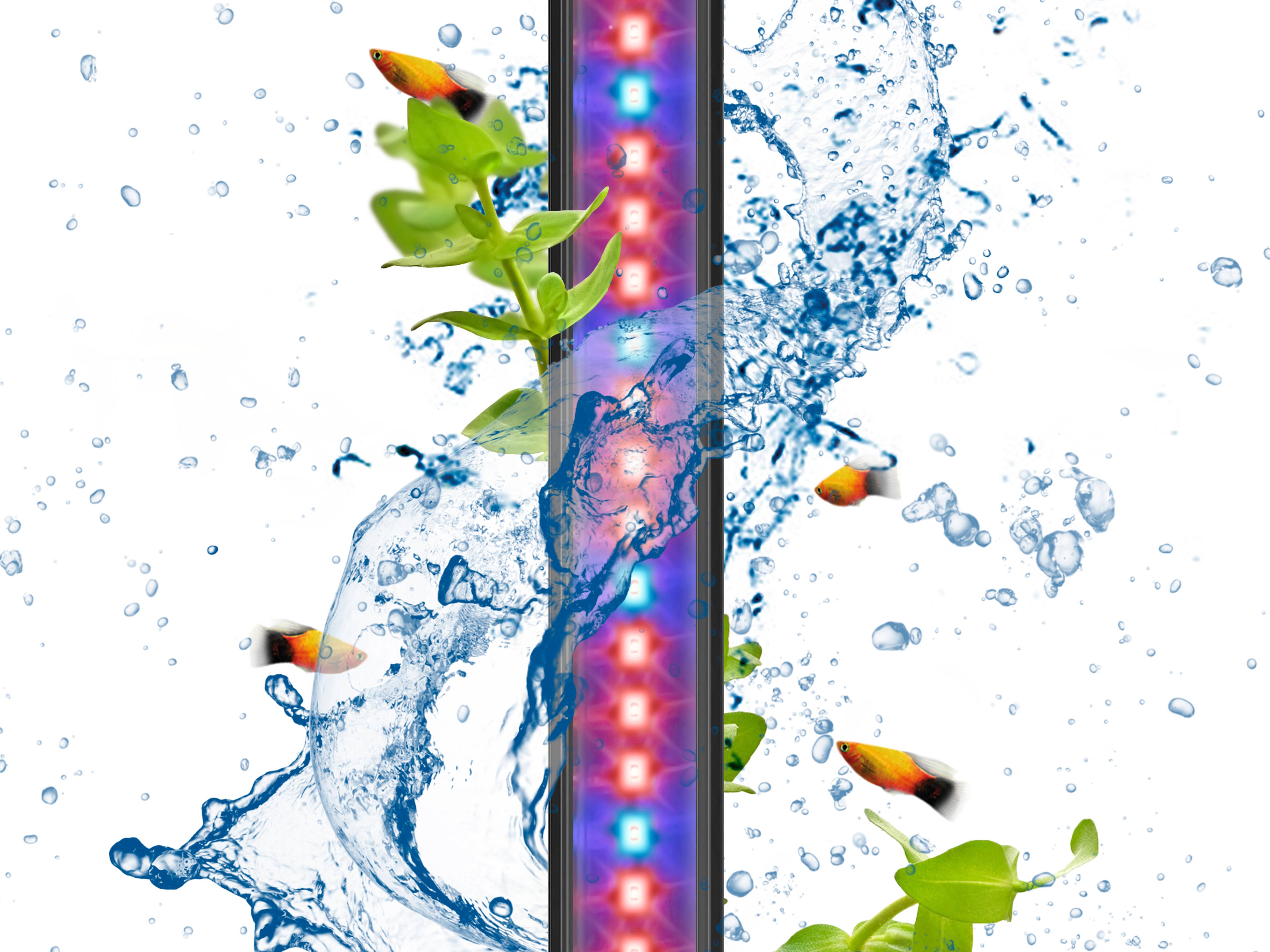 Ciano - Rampe led CLA60 Plants & convertisseur pour aquarium