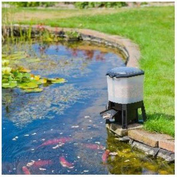 Distributeur Automatique Nourriture Poissons – UBBINK - Image 4