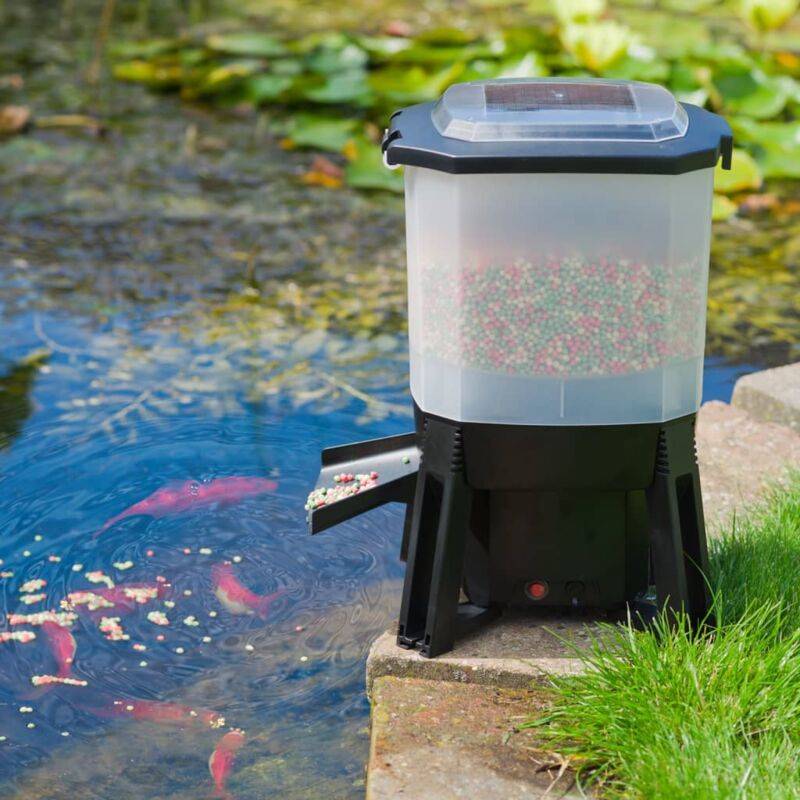 Distributeur Automatique Nourriture Poissons – UBBINK - Image 7