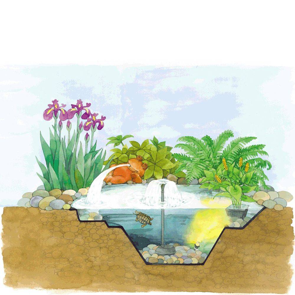 Oase - Bassin préformé  Start 750 L - OASE - Image 2