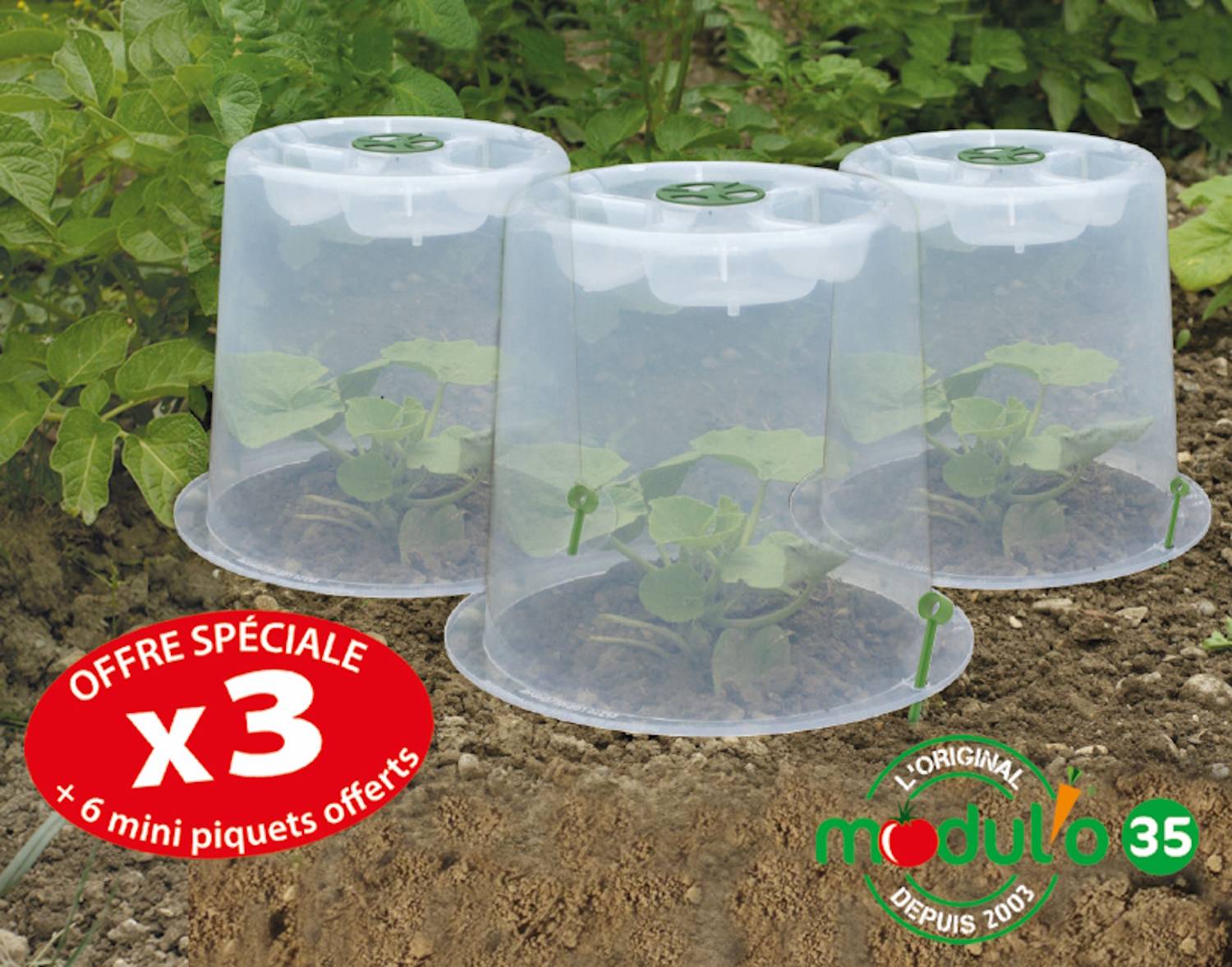 Modul'o - Lot de 3 cloches potagères avec 6 piquets Ø35 x H. 30 cm- Modul'o - Image 1