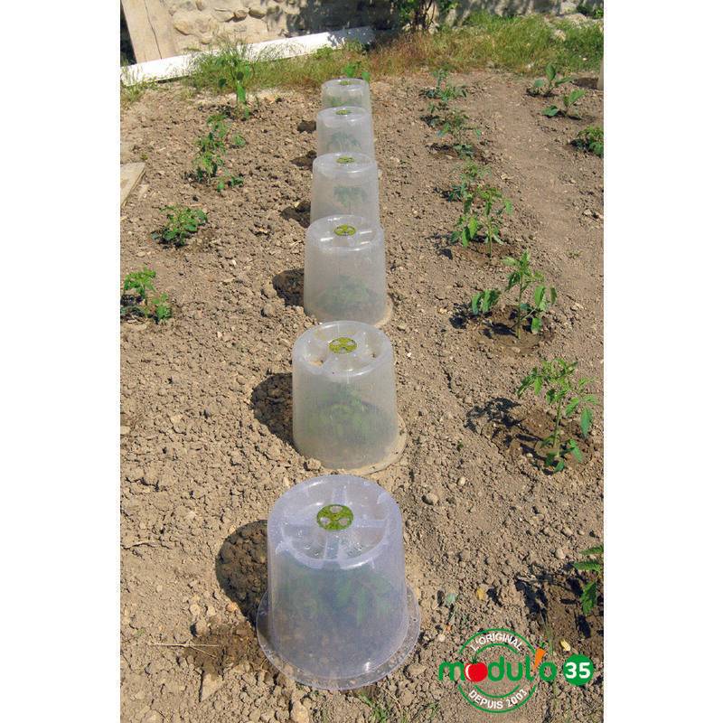 Modul'o - Lot de 3 cloches potagères avec 6 piquets Ø35 x H. 30 cm- Modul'o - Image 6