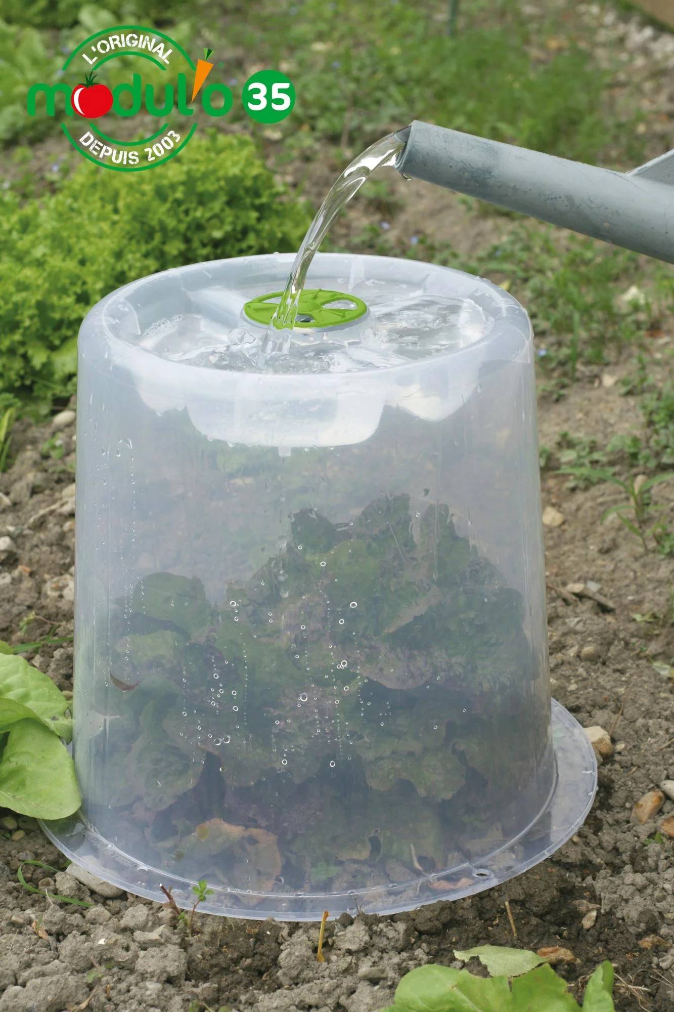 Modul'o - Lot de 3 cloches potagères avec 6 piquets Ø35 x H. 30 cm- Modul'o - Image 8