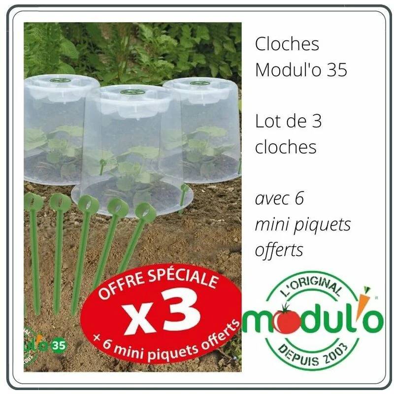 Modul'o - Lot de 3 cloches potagères avec 6 piquets Ø35 x H. 30 cm- Modul'o - Image 9