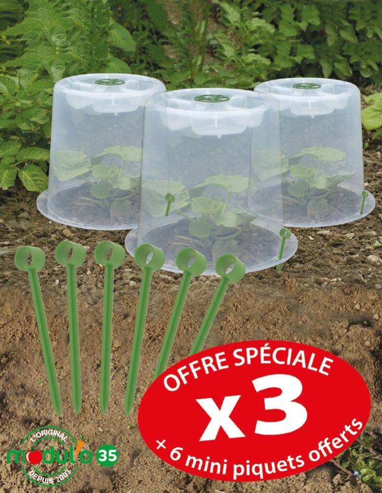 Modul'o - Lot de 3 cloches potagères avec 6 piquets Ø35 x H. 30 cm- Modul'o - Image 7