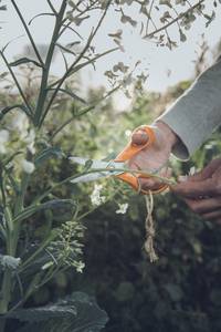 Ciseaux De Jardin À Lames Striées S92 - 18 Cm 
Pour Droitiers - Image 1