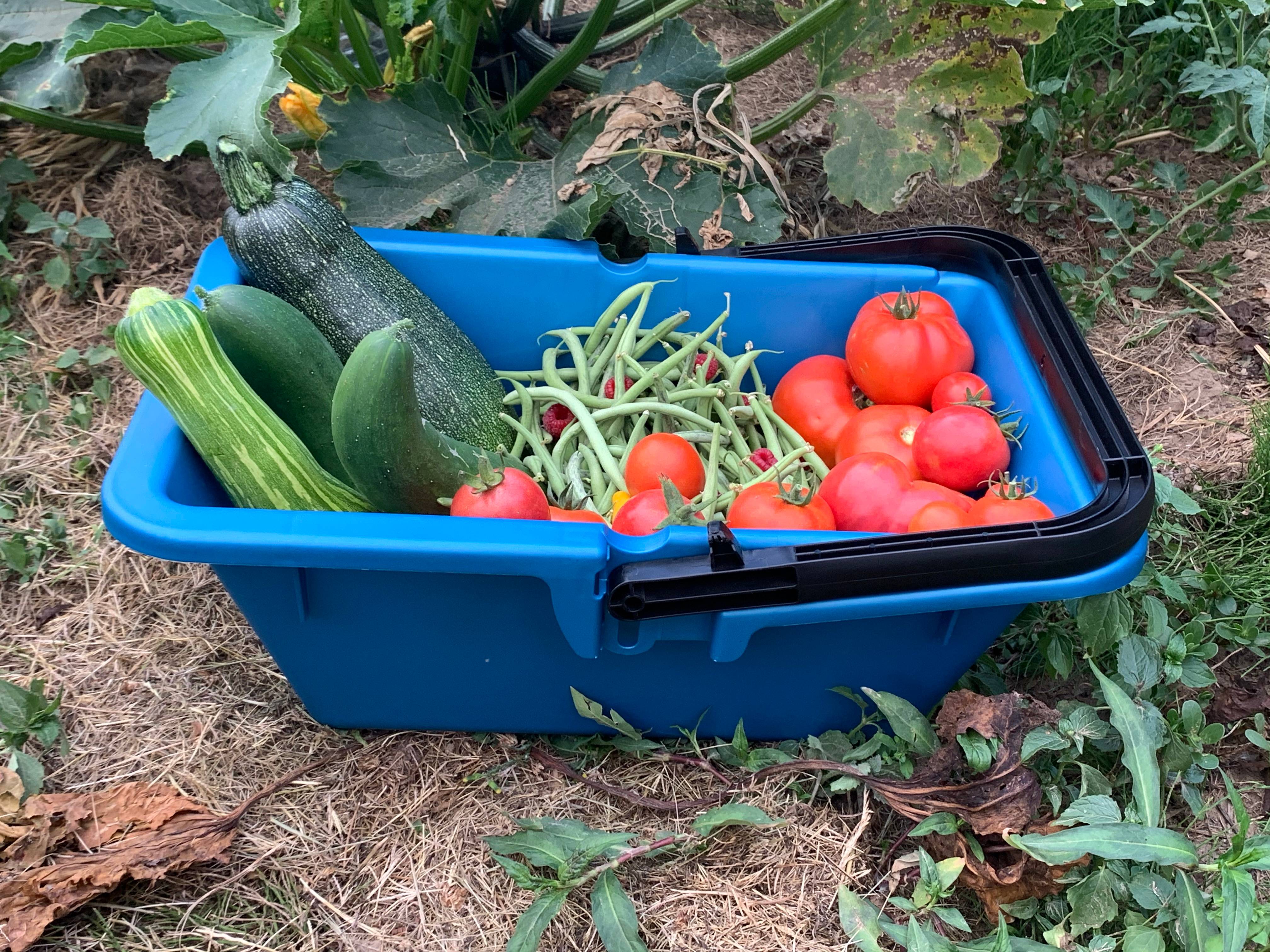 Panier de récolte 16 L - Image 2