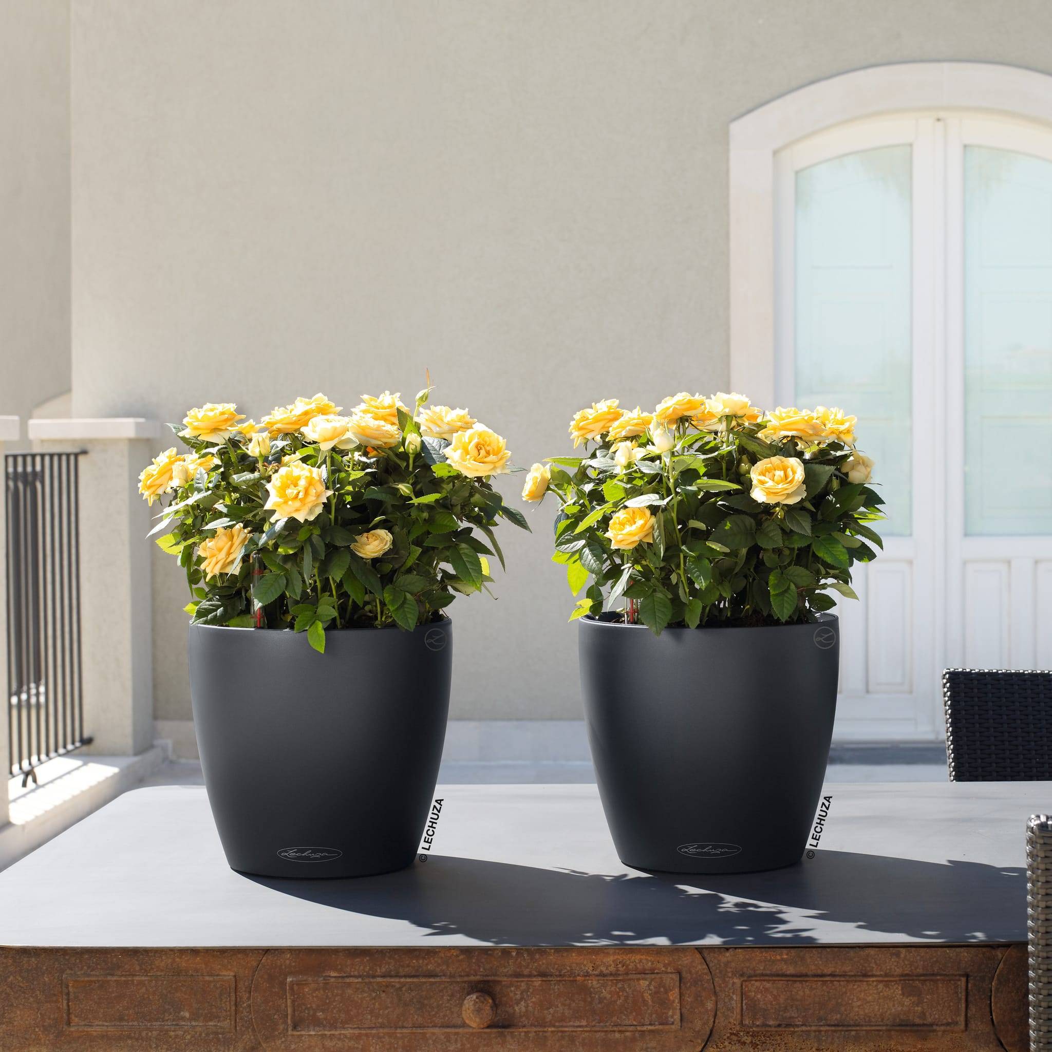 POT CLASSICO COLOR GRIS ARDOISE D28CM - Image 2
