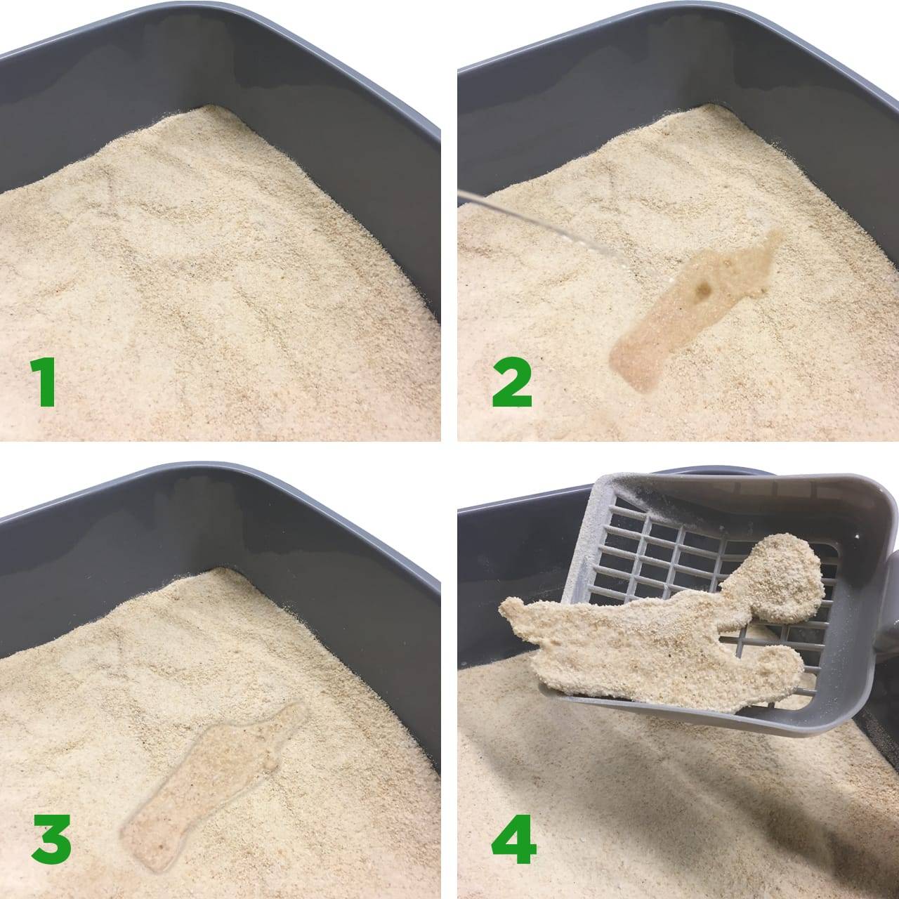 Almo Nature - Litière pour chat végétale biodégradable Catlitter 2,27 kg - ALMO NATURE - Image 7