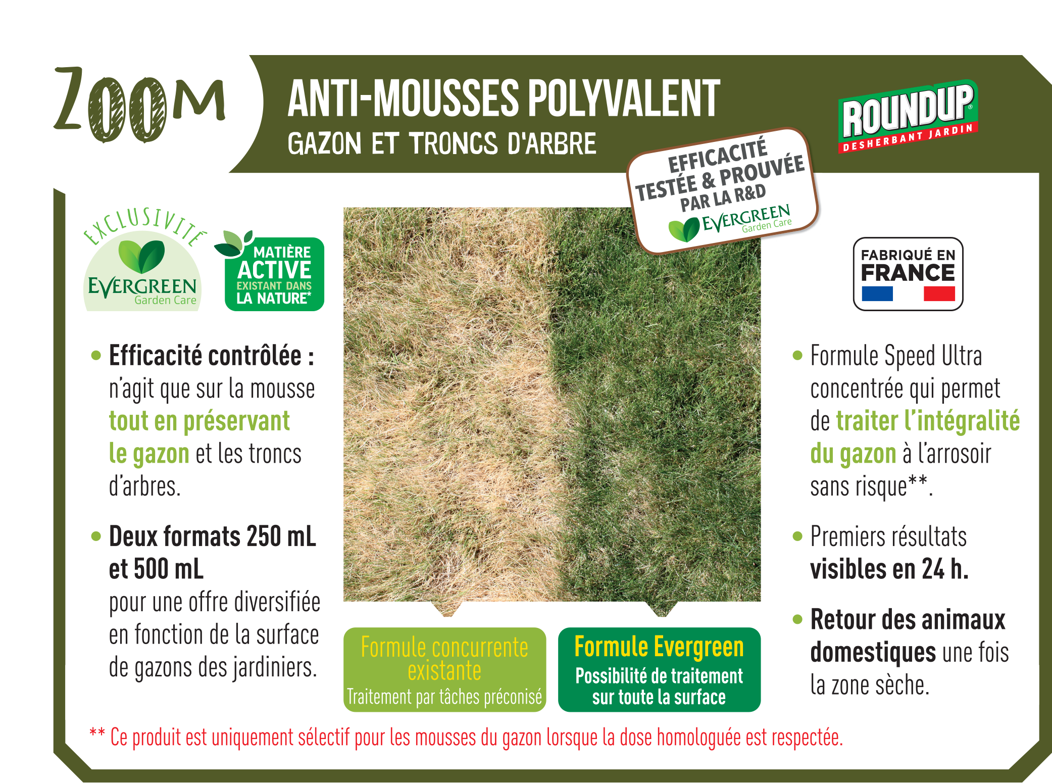 Roundup - Anti-mousses gazon troncs d'arbres 500 ml - Image 2