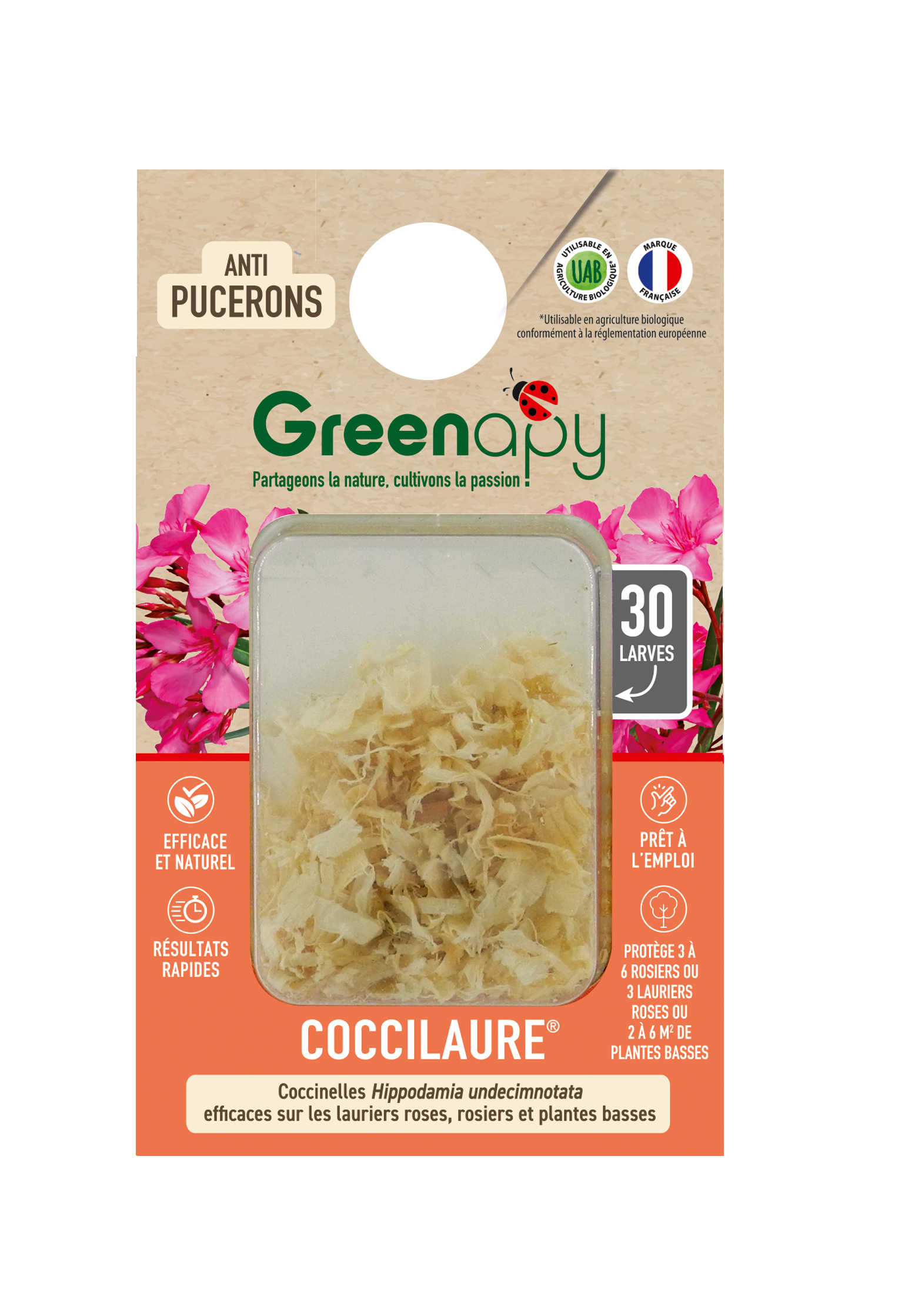 Greenapy - Coccinelles 30 larves Coccilaure anti pucerons Vivapack - Greenapy