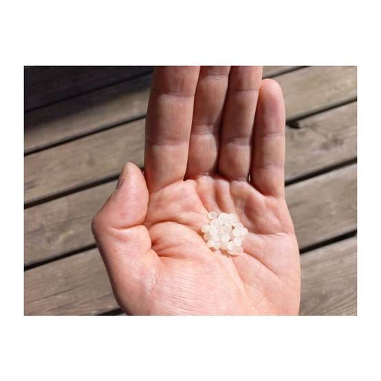 Greenapy - Nématodes anti-mouches des terreaux capsules - Greenapy - Image 10