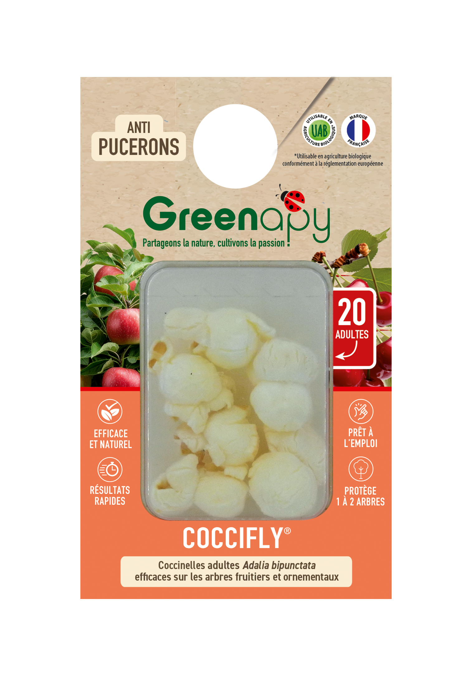 Greenapy - Coccinelles adultes Coccifly anti pucerons 20 adultes Vivapack - Greenapy