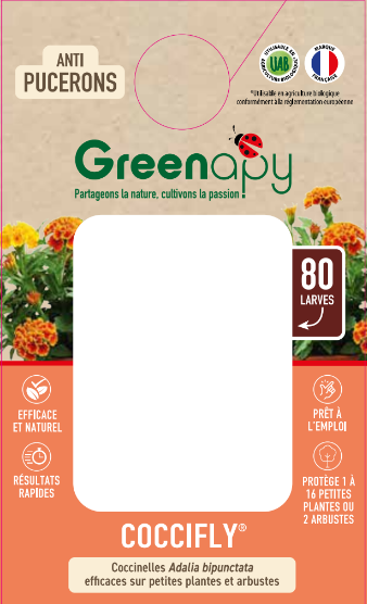 Greenapy - Coccinelles 80 larves Coccifly anti pucerons Vivapack - Greenapy - Image 1