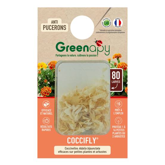 Greenapy - Coccinelles 80 larves Coccifly anti pucerons Vivapack - Greenapy - Image 4