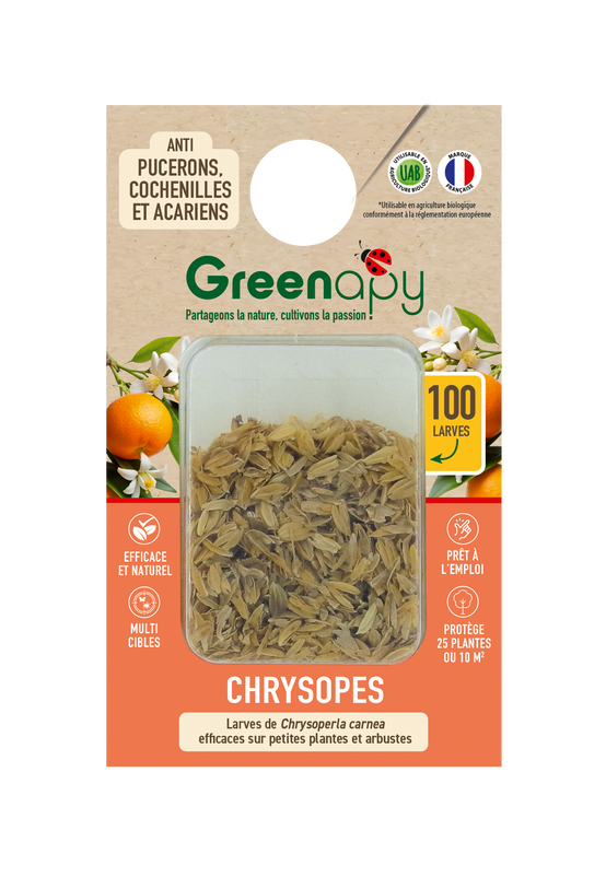 Greenapy - Chrysopes 100 larves anti-pucerons et autres Vivapack - Greenapy - Image 1
