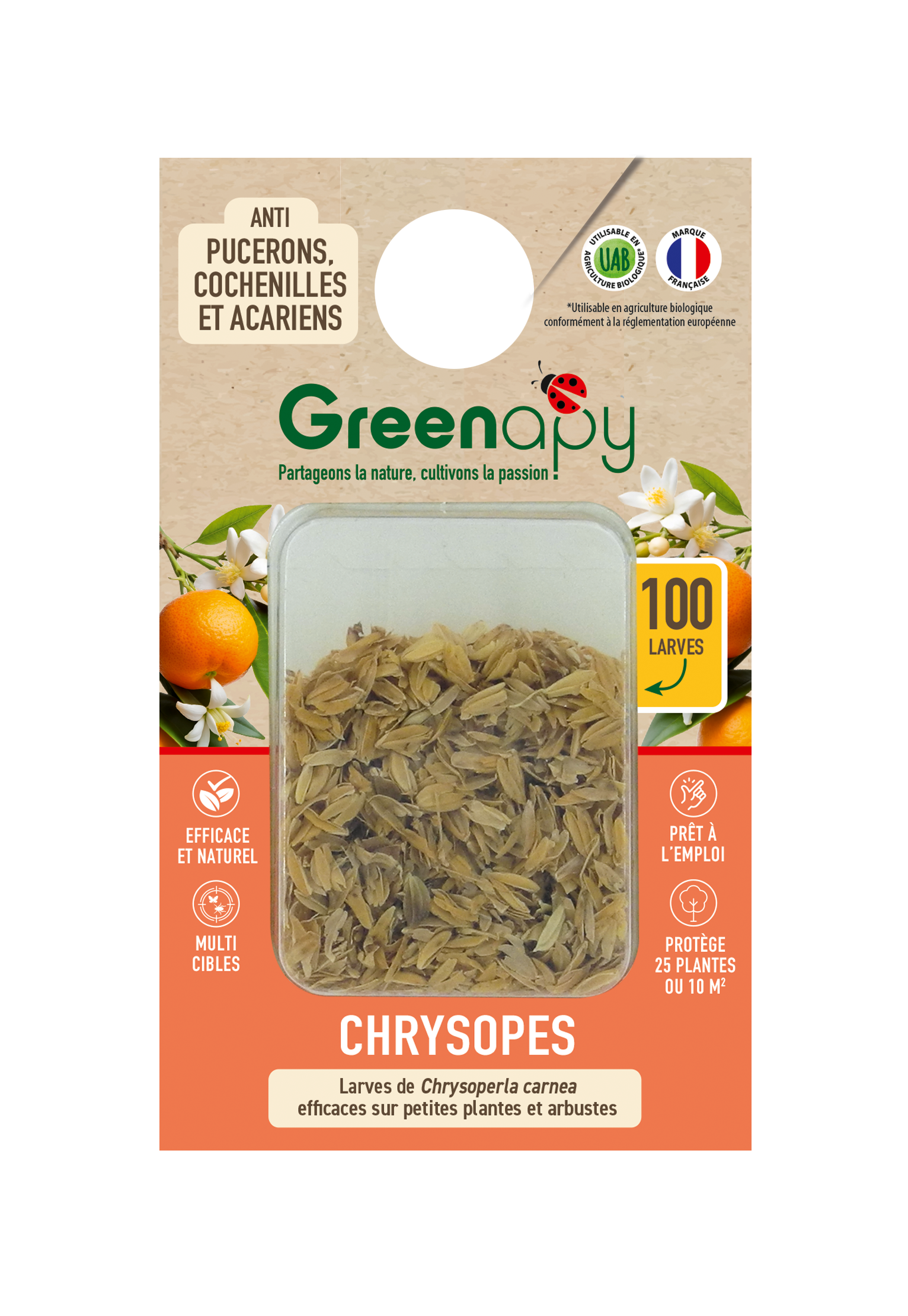 Greenapy - Chrysopes 100 larves anti-pucerons et autres Vivapack - Greenapy - Image 1